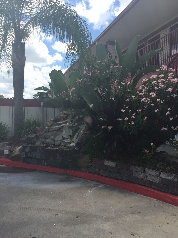 Palace Inn South Wayside Houston Exterior foto